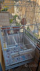 gabbia pappagalli ara cenerini, piccola taglia