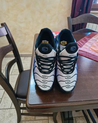 Nike Air Max Plus numero 41