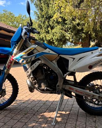 TM 250 2T