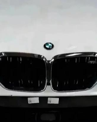BMW X5M F95 Muso Paraurti Fari Radiatori