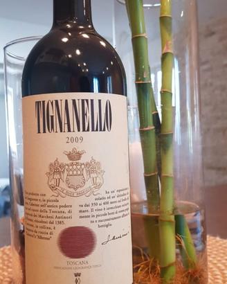 tignanello 2009
