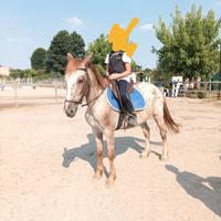 Pony doppio pony per tutti