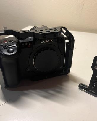 Lumix Gh5s + Smallrig Cage  + 4 batterie