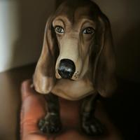 Bassotto in Capodimonte