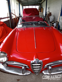 Alfa Romeo Giulia spider