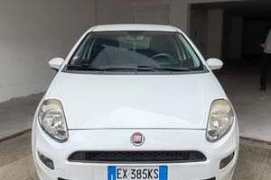 Punto Street Natural Power