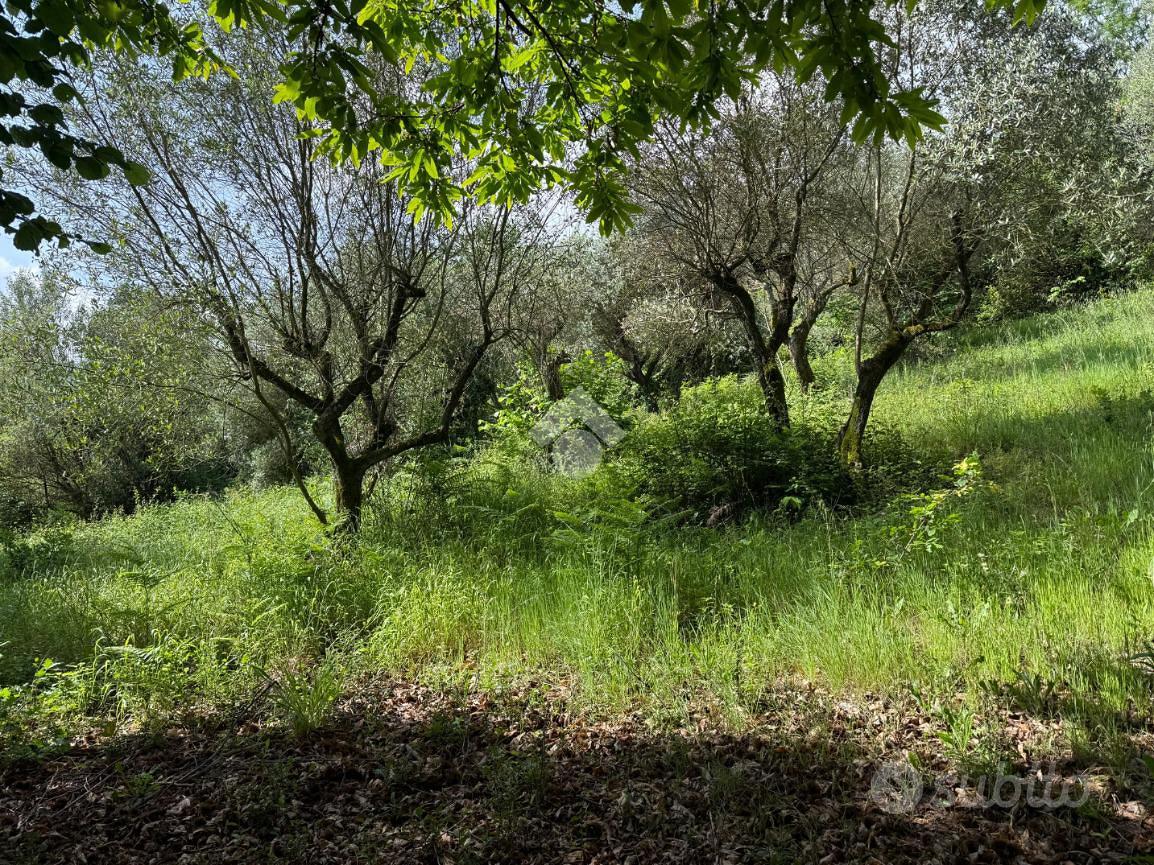 TER. AGRICOLO A ARTENA - Vista 3