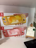 nintendo-switch-lite