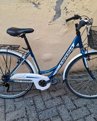 2 biciclette 