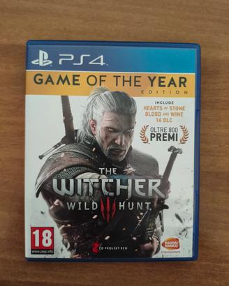 The Witcher 3:Wild Hunt - Game of The Year