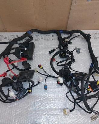 impianto elettrico completo benelli trk 502 502x