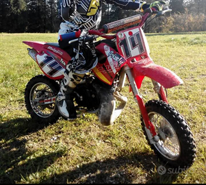 Minicross grizzly 10"