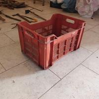 cassette per raccolta olive