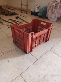 cassette per raccolta olive