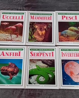 9 libri natura meravigliosa