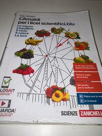L'Amaldi per i licei scientifici.blu