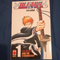 Manga Bleach