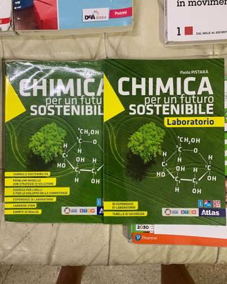 chimica matematica filosofia liceo artistico