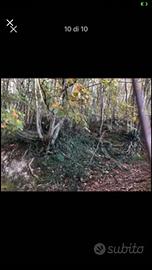 Due montagne boschi comunicanti tra di loro 39.000