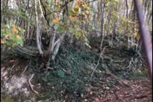 Due montagne boschi comunicanti tra di loro 39.000