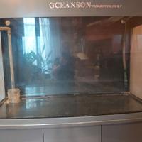 acquario panoranico 500 litri