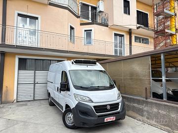 Fiat Ducato 2.3 Mjet 130CV FRIGO FRCX -20° L2 H2 G