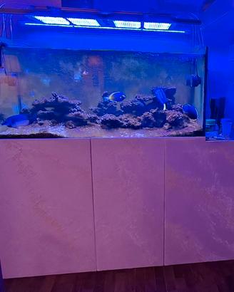 Acquario marino, gnc bluray pro, skimmer redsea..
