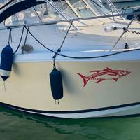 Proline 28 express