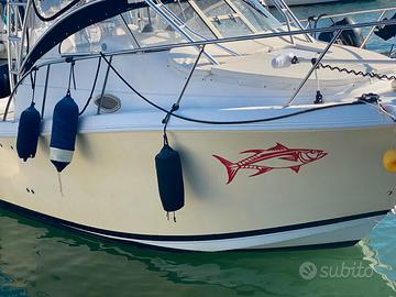 Proline 28 express