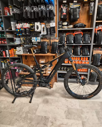 Whistle B-Rush 12.5 Large Carbon Bosch CX5 800wh