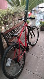 bici mtb 29