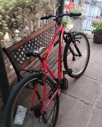 bici mtb 29