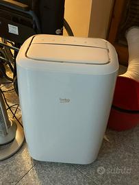 Condizionatori (pinguini)