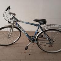 bicicletta adulto 