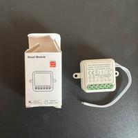 Tuya WiFi Zigbee Modulo Smart Switch