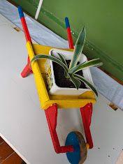 Piantine di Agave a partire da € 10