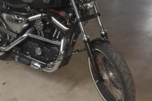 harley davidson sportster 883