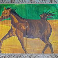 'Cavalla' Disegno Di Antonio Corso