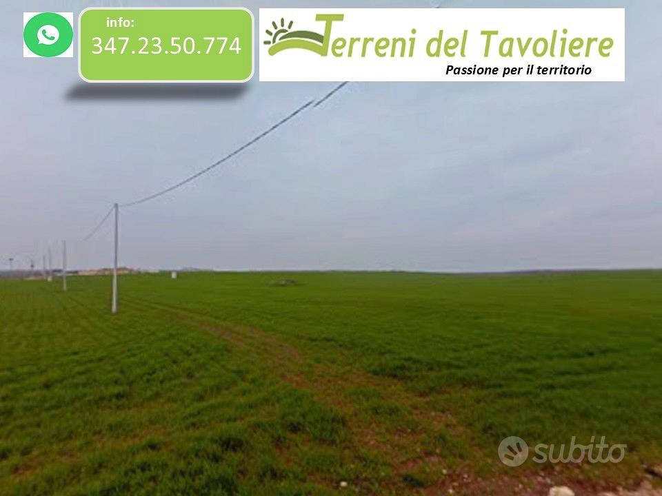 Terreno Agricolo 24 Ettari - Apricena - Vista 4