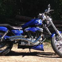 Special sportster harley davidson