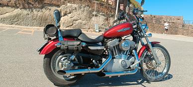 Harley Davidson 883 custom