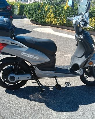 Altro Altro modello - 2023