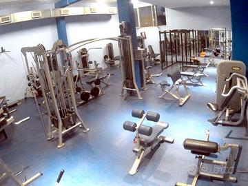 PALESTRA