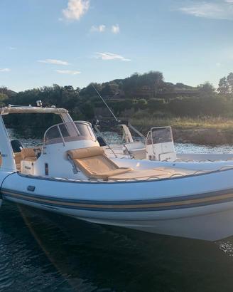 Gommone bwa 850 platinum