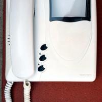 Videocitofono B/N Elvox Giotto Art. 6300