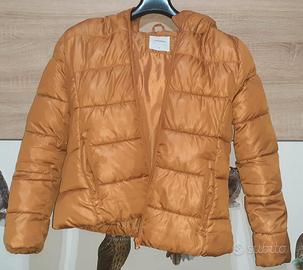 Giubbotto Bomber con cappuccio,originale Terranova