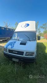 Van 2 posti trasporto cavalli