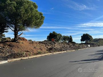 Rif.ff30| azienda agricola nicolosi