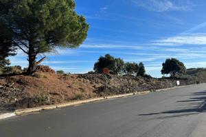 Rif.ff30| azienda agricola nicolosi