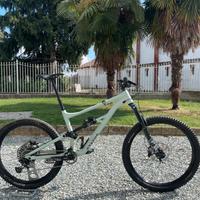 Specialized status 160